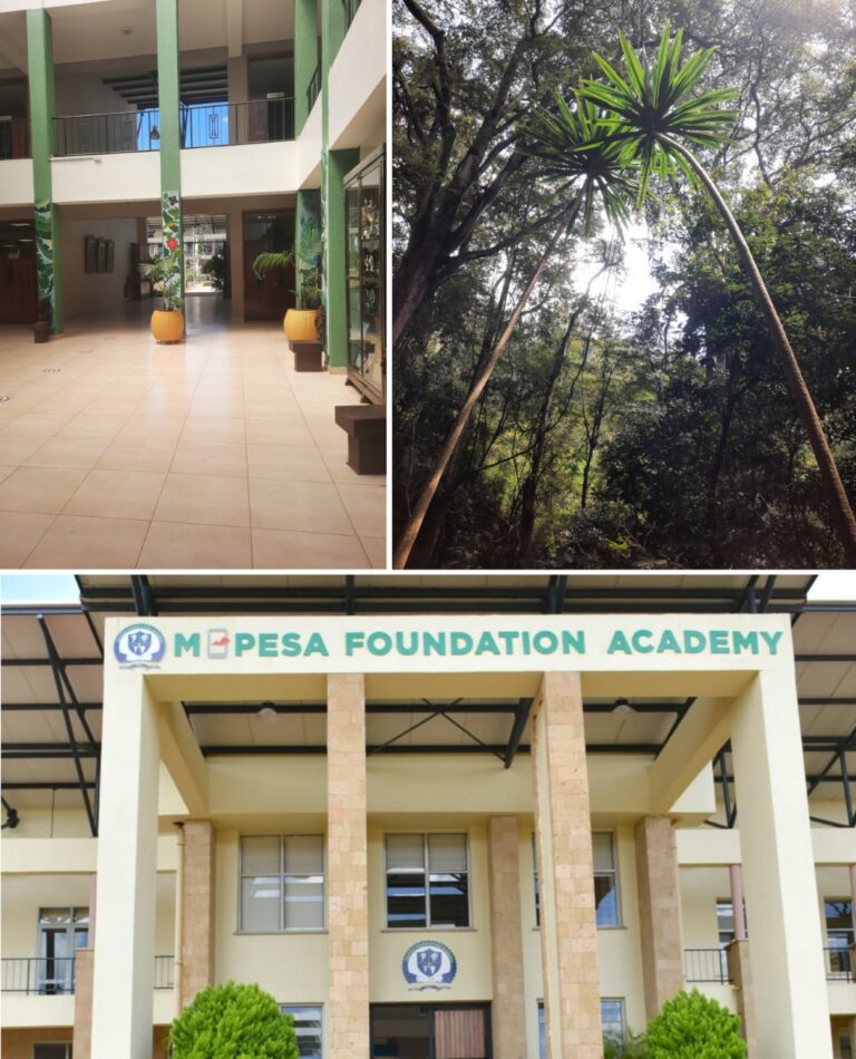 Eingang und Innenraum der Mpesa Foundation Academy, Thika und Naturszene aus dem Karura Forest